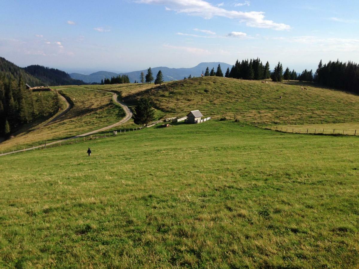 Gartenwohnung Auf Der Sommeralm Санкт-Катрайн-ам-Оффенег Екстер'єр фото